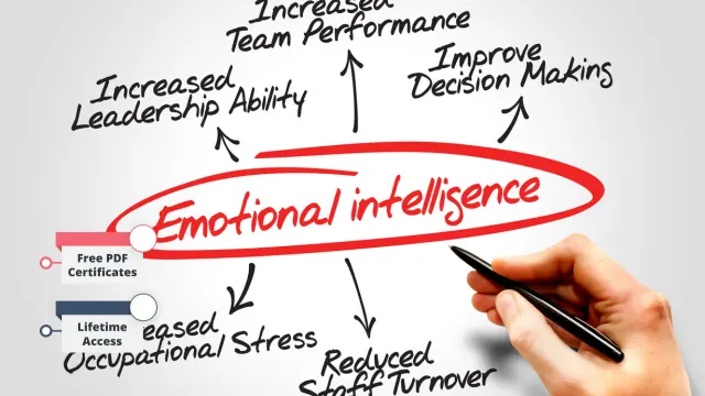 Emotional Intelligence Analyst - CPD Accredited
