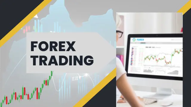 Diploma in Stock Trading & Forex Trading - CPD Endorsed
