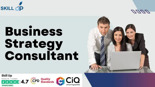 Business Strategy Consultant - CPD Certified