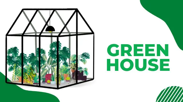 Greenhouse Masterclass