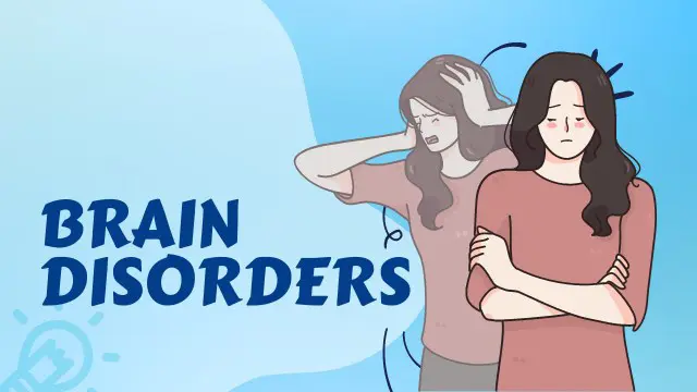 Neurology: Brain Disorders