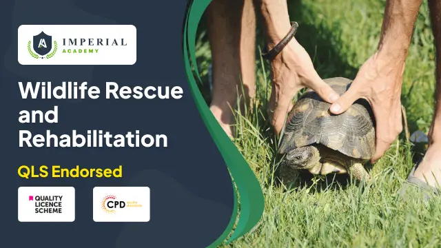 Wildlife Rescue and Rehabilitation at QLS Level 4