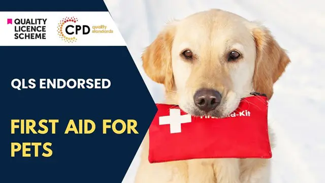 First Aid for Pets (QLS)