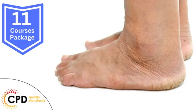 Foot Care: Diabetic Foot Diploma