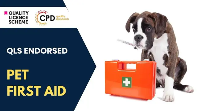 Pet First Aid Training (QLS)