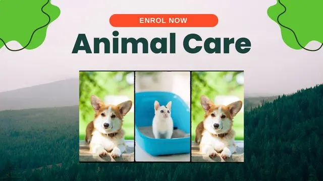 Animal Care Masterclass