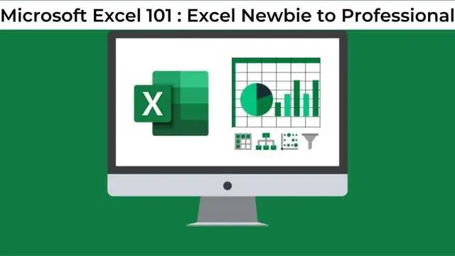 Microsoft Excel 101 : Excel Newbie to Professional