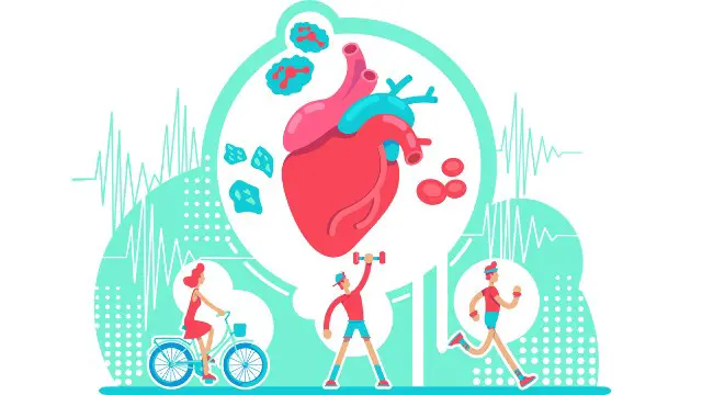 Physical Health: Safeguarding From Heart Attack