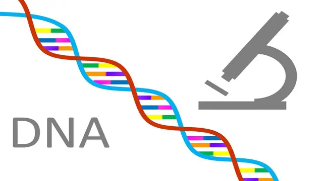 Genetics Online Diploma