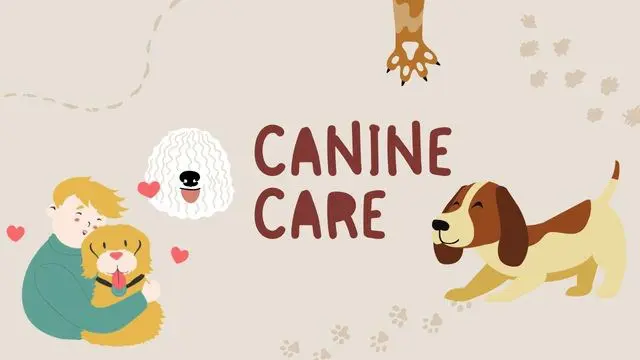 Canine Care Training