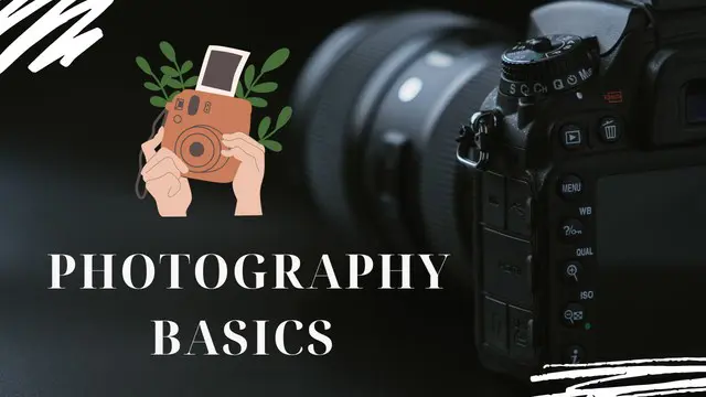 Photography Basics Training