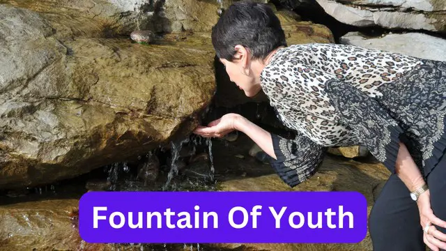 Fountain Of Youth Course
