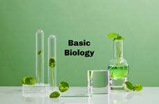 Basic Biology