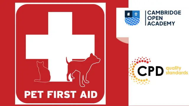 Pet First Aid Certificate