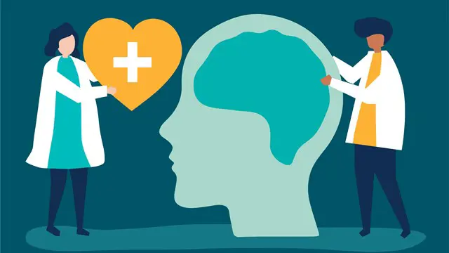 Mental Health Law Course 