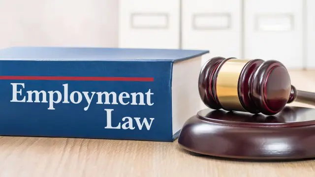 Employment Law, Employment Contract & Employment Rights