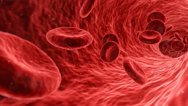 Biology: Basic to Advance 