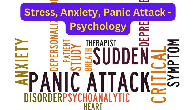 Stress, Anxiety, Panic Attack - Psychology