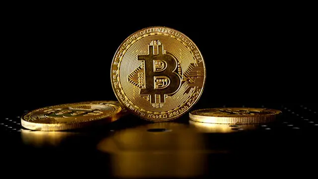 Unlocking the Digital Gold: Mastering Bitcoin Fundamentals
