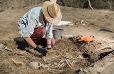 Archaeology: Excavation Training 