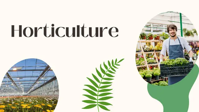 Diploma of Horticulture (Online) - CPD Certified
