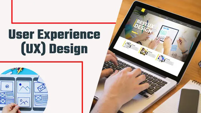 UX Design (User Research & Visual Design Principles)