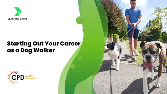 Starting Out Your Career as a Dog Walker