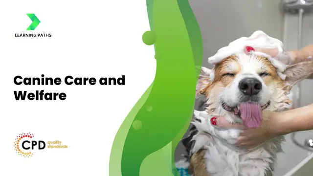 Canine Care and Welfare
