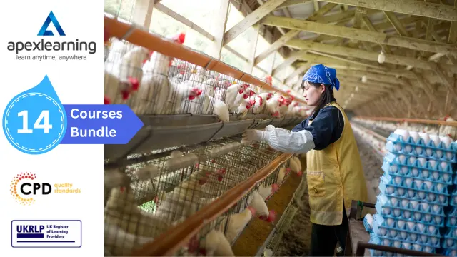 Poultry Farming Best Practices for Sustainable Growth