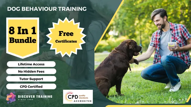 Dog Behaviour Training 