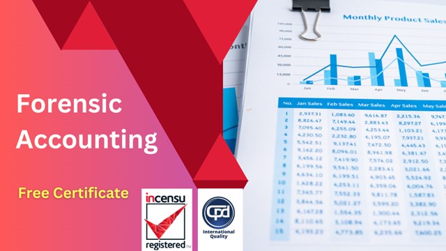 phd in forensic accounting in uk