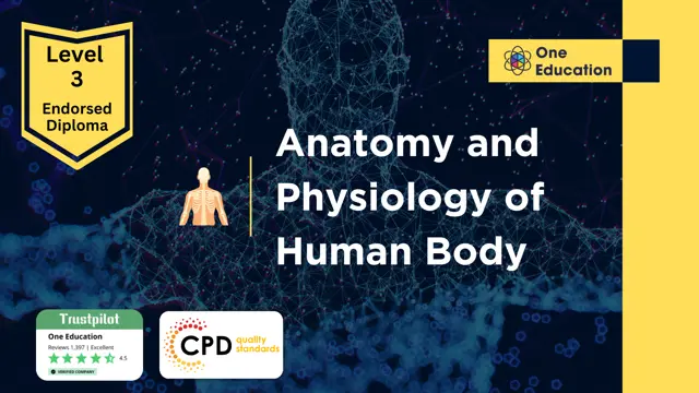 Level 3 Diploma in Anatomy and Physiology of Human Body - CPD Certified