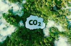 Carbon Literacy Knowledge
