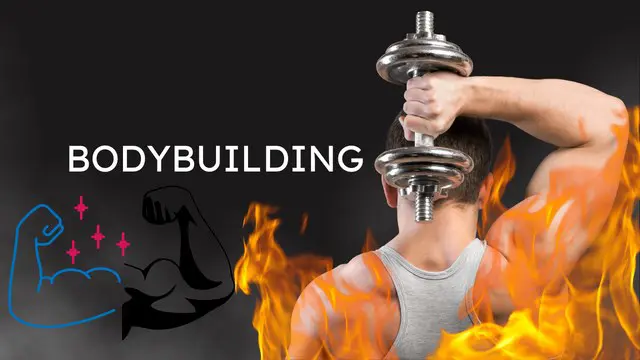 Gym Workouts, Bodybuilding and Muscle Growth