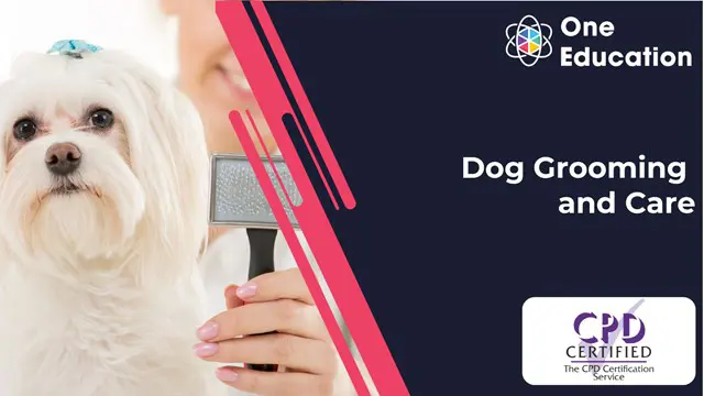 Dog Grooming and Care - CPD Certified