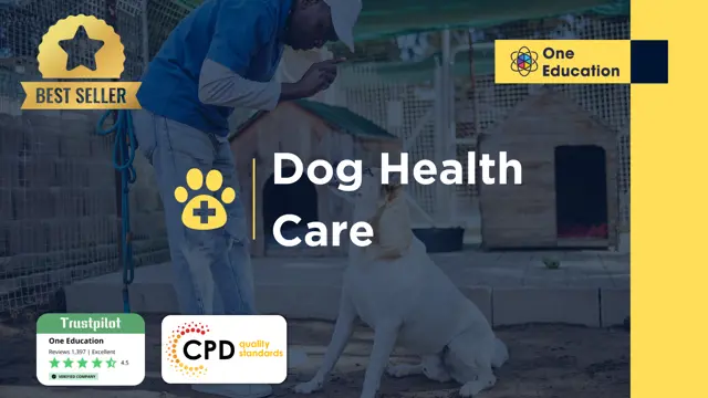 Dog Health Care - CPD Certified