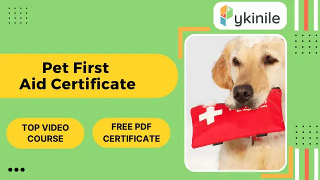 Pet First Aid Certificate - CPD Certified