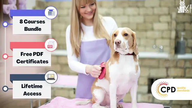 Dog Grooming, Walking, Agility, Feeding & Dog Health Training