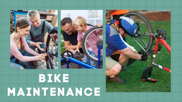 Professional Bike Maintenance (Bike Mechanic & Bike Maintenance)