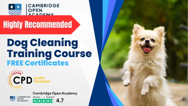 Dog Cleaning Training Course