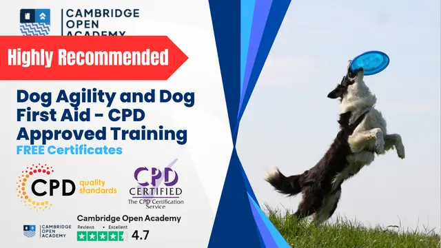 Dog Agility and Dog First Aid - CPD Approved Training
