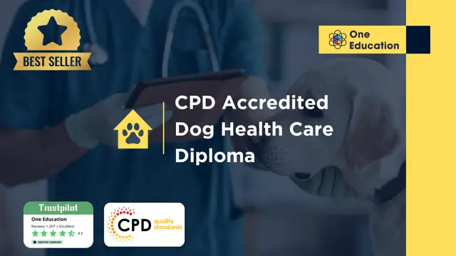 CPD Accredited Dog Health Care Diploma