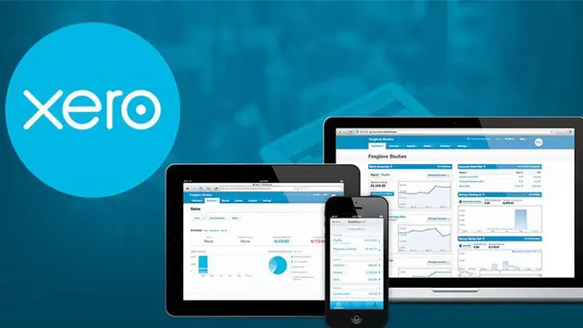 Learn Xero Just in one day 