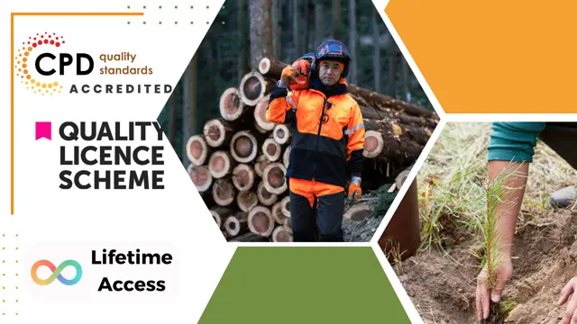 Level 4 Diploma in Forestry & Silviculture - QLS Endorsed 