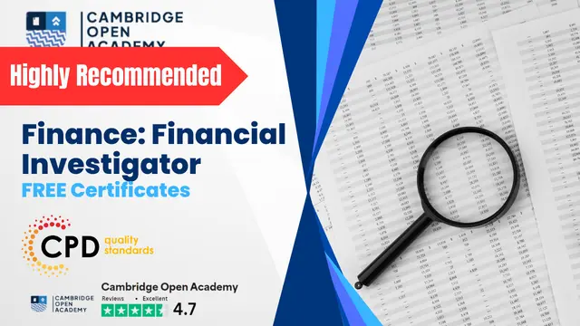 Finance: Financial Investigator
