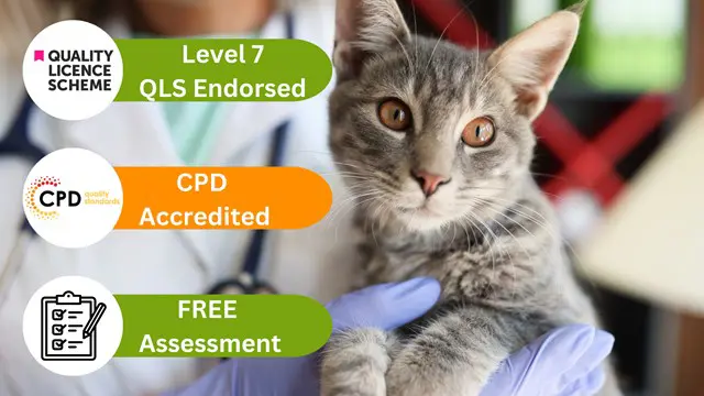 Veterinary Nursing at QLS Level 7
