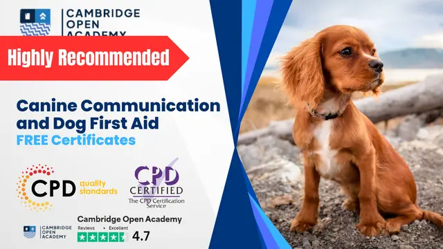 Canine Communication and Dog First Aid - CPD Approved Training