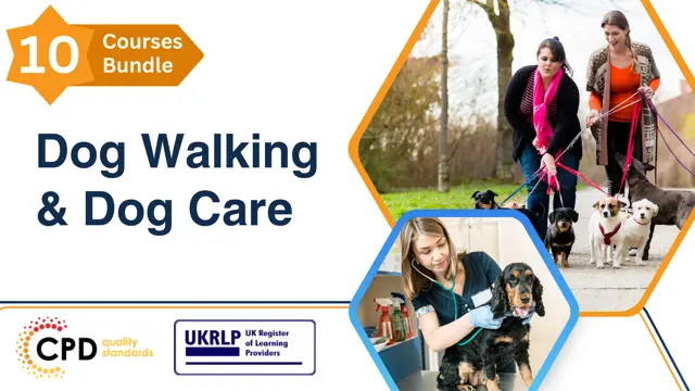 Dog Walking & Dog Care Training