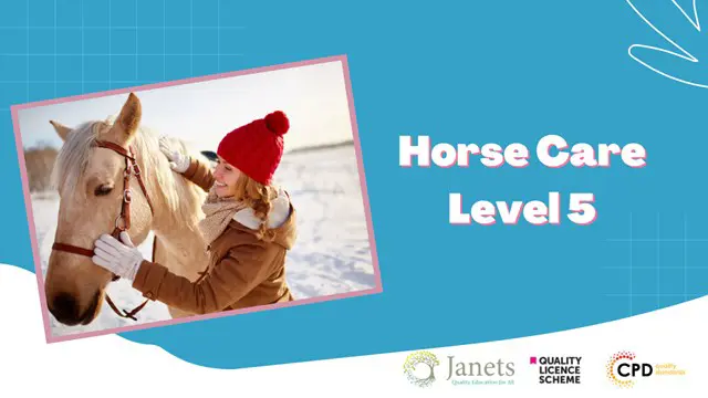 Level 5 Diploma in Horse Care and Stable Management - QLS Endorsed
