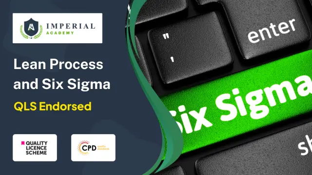 Level 2, 3 and 5 Lean Process and Six Sigma Training